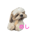 イウォーク犬アグと妹ルブ2（個別スタンプ：7）