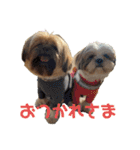 イウォーク犬アグと妹ルブ2（個別スタンプ：11）