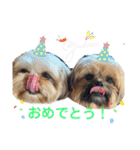 イウォーク犬アグと妹ルブ2（個別スタンプ：19）