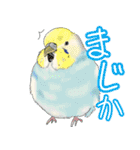 トリさん〜ほぼセキセイインコ〜（個別スタンプ：6）