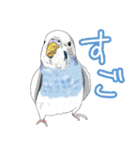 トリさん〜ほぼセキセイインコ〜（個別スタンプ：9）