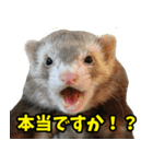 フェレズスタンプ③ 敬語・丁寧語編（個別スタンプ：10）