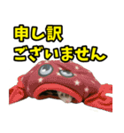フェレズスタンプ③ 敬語・丁寧語編（個別スタンプ：13）