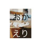 ヤモリとカエル⭐️（個別スタンプ：16）