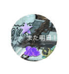 ヤモリとカエル⭐️（個別スタンプ：26）