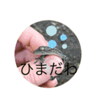 ヤモリとカエル⭐️（個別スタンプ：32）