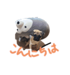 らきのきらきらスタンプあいさつ（個別スタンプ：2）