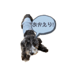 ぼくは、ジジ（個別スタンプ：14）