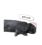 無表情つむたんの日常（個別スタンプ：11）