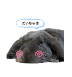 無表情つむたんの日常（個別スタンプ：12）