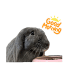無表情つむたんの日常（個別スタンプ：13）