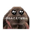 無表情つむたんの日常（個別スタンプ：14）
