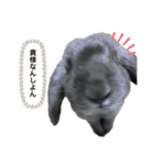 無表情つむたんの日常（個別スタンプ：16）