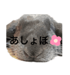 無表情つむたんの日常（個別スタンプ：34）