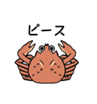 無表情シリーズ・海（個別スタンプ：16）