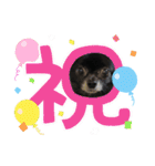 くぅにおまかせ（個別スタンプ：3）