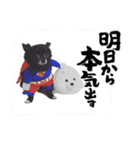 くぅにおまかせ（個別スタンプ：4）