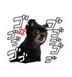 くぅにおまかせ（個別スタンプ：5）