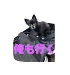 くぅにおまかせ（個別スタンプ：8）
