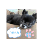 くぅにおまかせ（個別スタンプ：9）