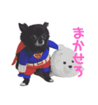くぅにおまかせ（個別スタンプ：14）