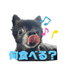 くぅにおまかせ（個別スタンプ：17）