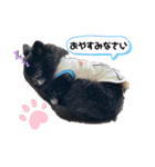くぅにおまかせ（個別スタンプ：20）