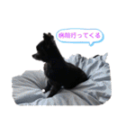 くぅにおまかせ（個別スタンプ：22）