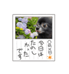 くぅにおまかせ（個別スタンプ：26）