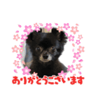 くぅにおまかせ（個別スタンプ：28）