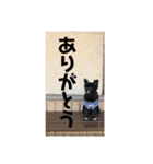 くぅにおまかせ（個別スタンプ：31）