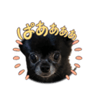 くぅにおまかせ（個別スタンプ：35）