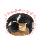 さぶこたちぃのあ（個別スタンプ：1）