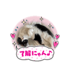 さぶこたちぃのあ（個別スタンプ：4）