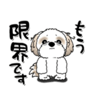 【New Ver.】シーズー犬『ネガティブ』（個別スタンプ：8）