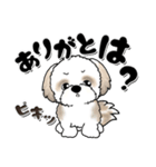 【New Ver.】シーズー犬『ネガティブ』（個別スタンプ：30）