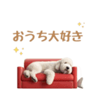 大人敬語♡空手もするバンダナ犬（夏編）（個別スタンプ：5）