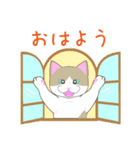 よく使う言葉を集めたハチワレネコちゃん（個別スタンプ：10）