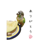 ことりの愉快な日常（個別スタンプ：6）