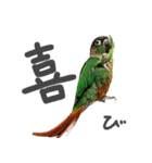 ことりの愉快な日常（個別スタンプ：11）