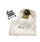 ことりの愉快な日常（個別スタンプ：14）