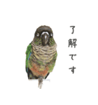 ことりの愉快な日常（個別スタンプ：26）