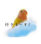ことりの愉快な日常（個別スタンプ：38）