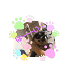 キャット界プリンスの弟分（個別スタンプ：5）
