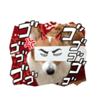 キャット界プリンスの弟分（個別スタンプ：13）