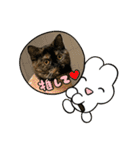 ノアちゃんの1日（個別スタンプ：4）
