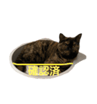 ノアちゃんの1日（個別スタンプ：6）