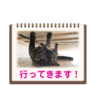 ノアちゃんの1日（個別スタンプ：7）