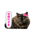 ノアちゃんの1日（個別スタンプ：8）
