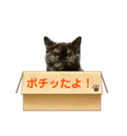 ノアちゃんの1日（個別スタンプ：11）